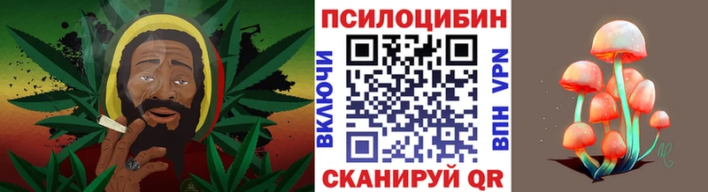 Галлюциногенные грибы прущие грибы  Купить где  Артёмовский 