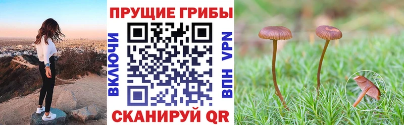 Псилоцибиновые грибы GOLDEN TEACHER Артёмовский